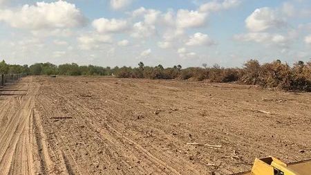 Lot clearing near Pharr, TX.