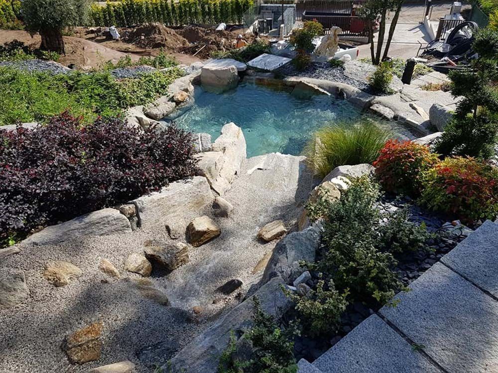 Giardino paesaggistico con un piccolo laghetto, una cascata, rocce e varie piante.