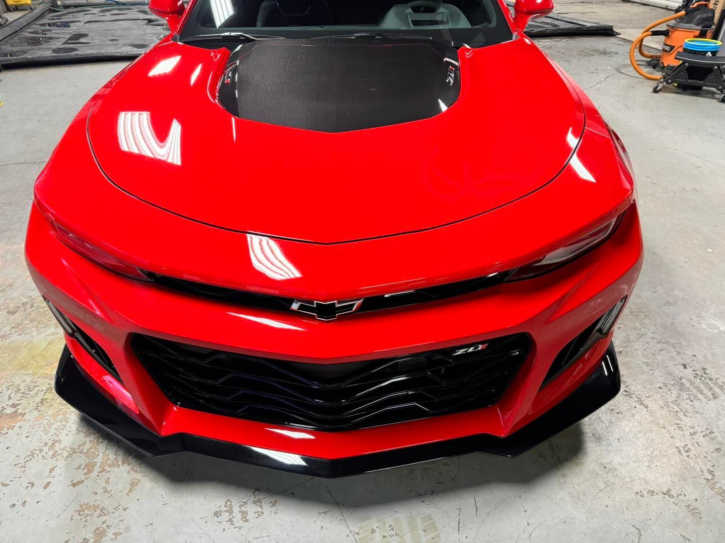 Paint Protection Film