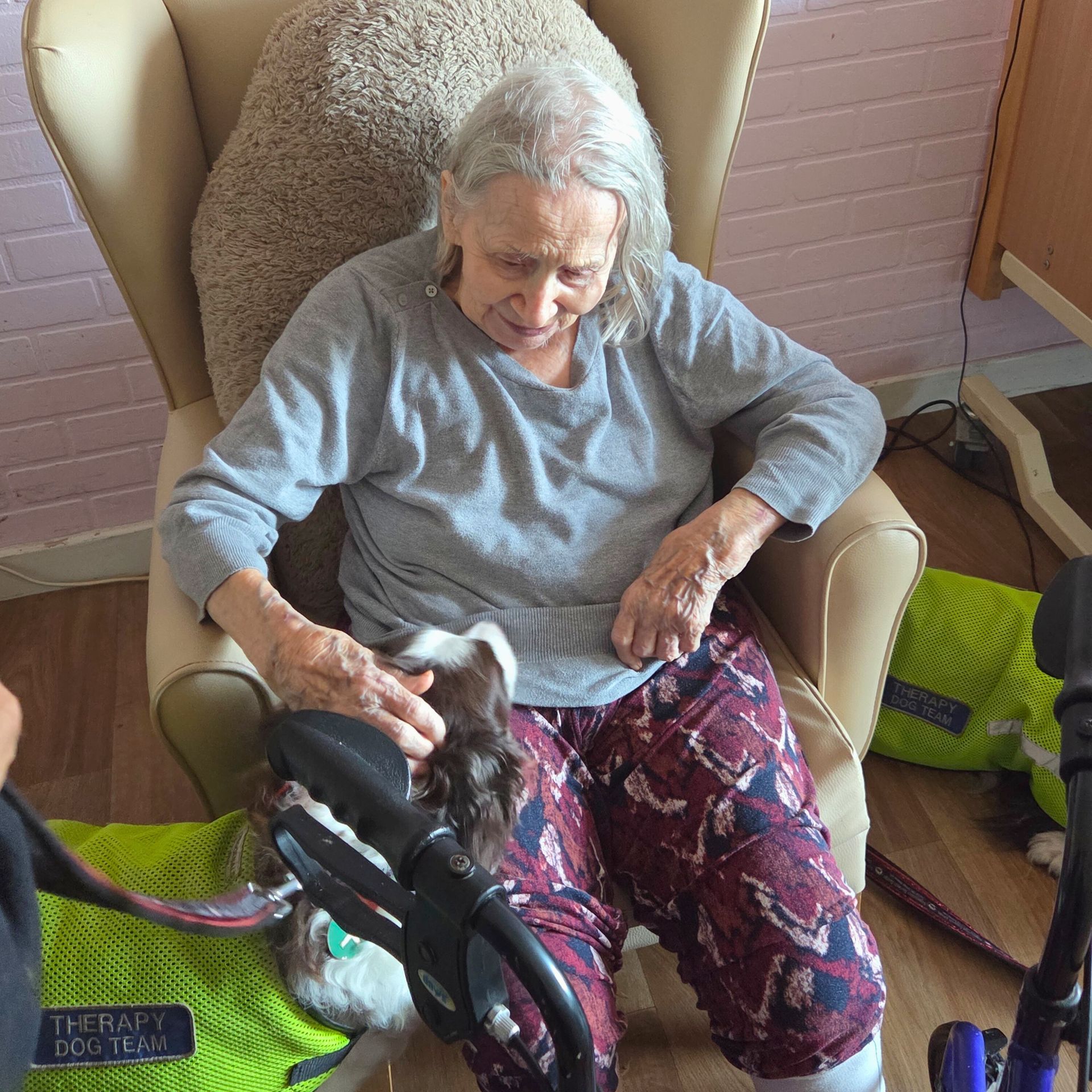 Elderly woman in chair petting a dog wearing a therapy vest.