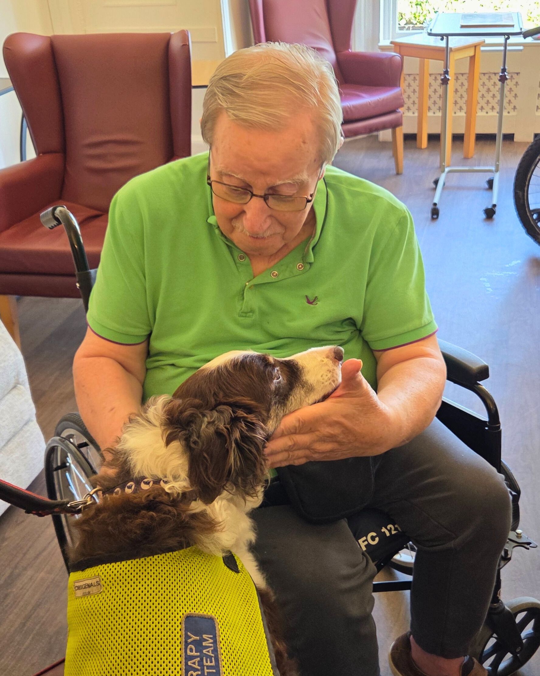 Elderly man in wheelchair pets a therapy dog, in a care home setting. The dog wears a yellow vest.
