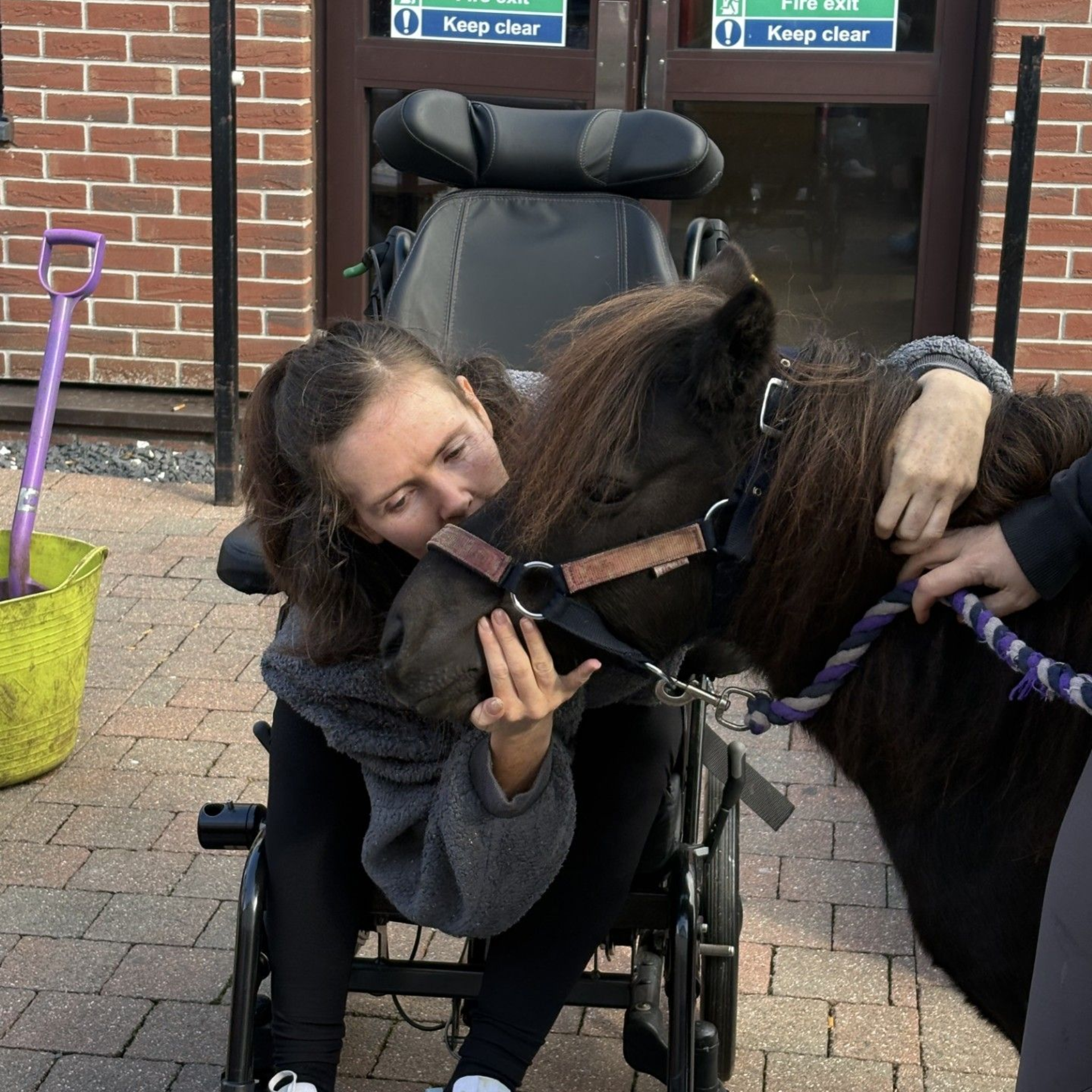 Woman in wheelchair hugging a brown pony outdoors. She's smiling, wearing gray, near a brick building.