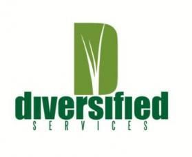 diversified services logo
