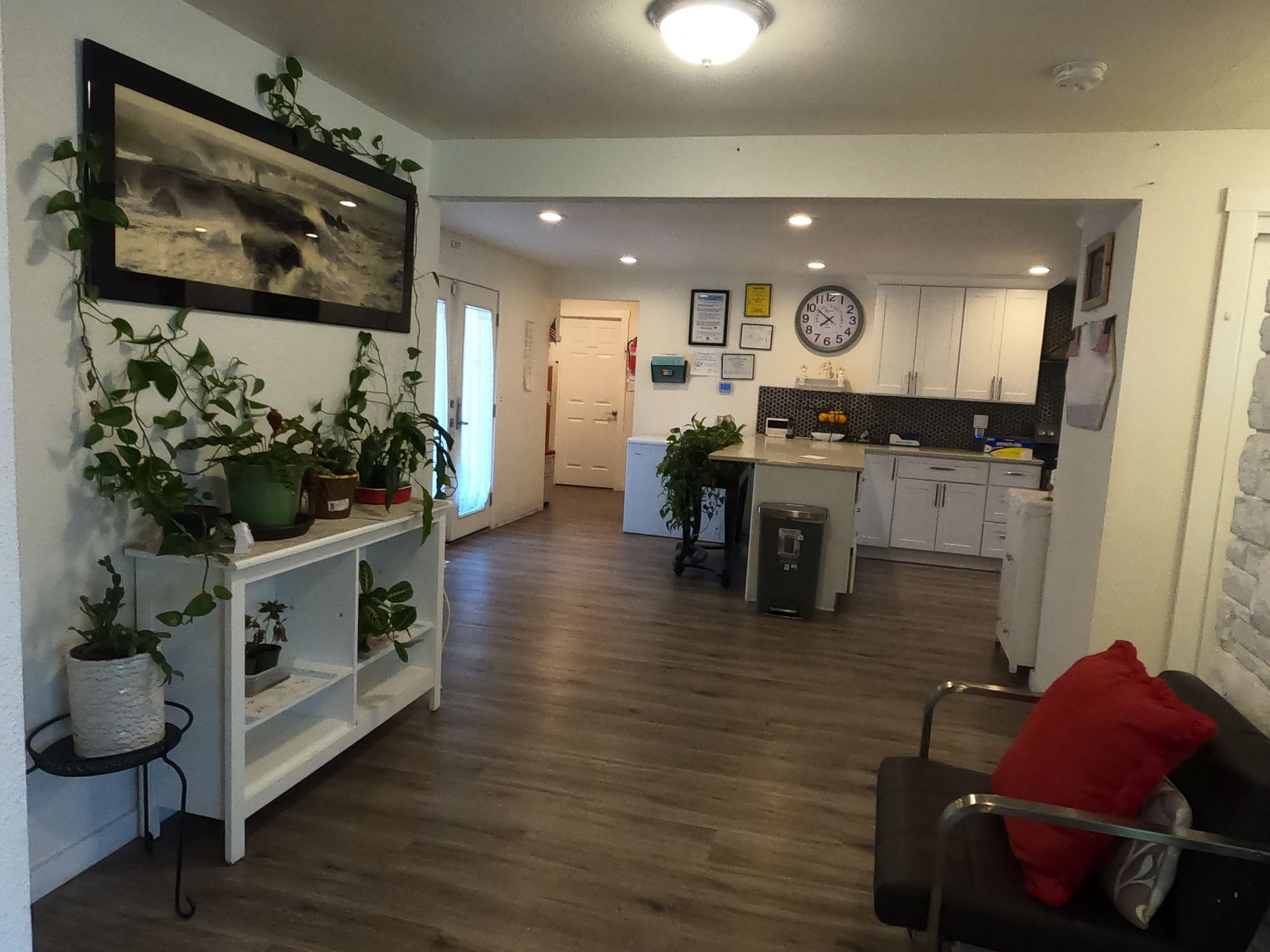 Living room with open archway to kitchen, plants, framed art, wood flooring, and a sofa.