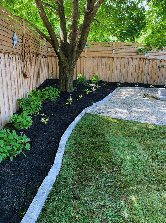 A backyard with a wooden fence and a tree in the middle of it.