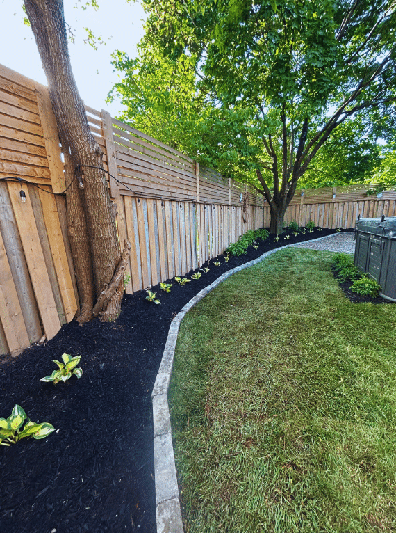 A backyard with a wooden fence and a tree.