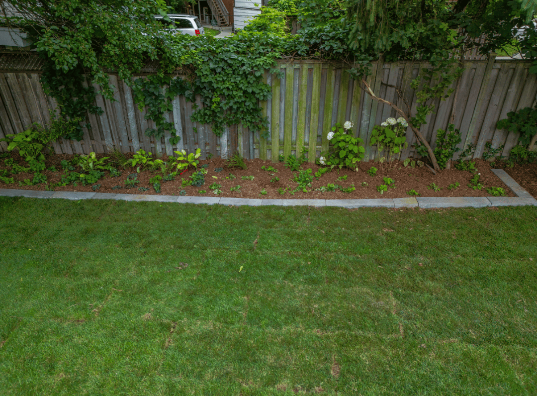An aerial view of a lush green lawn with a wooden fence in the background.