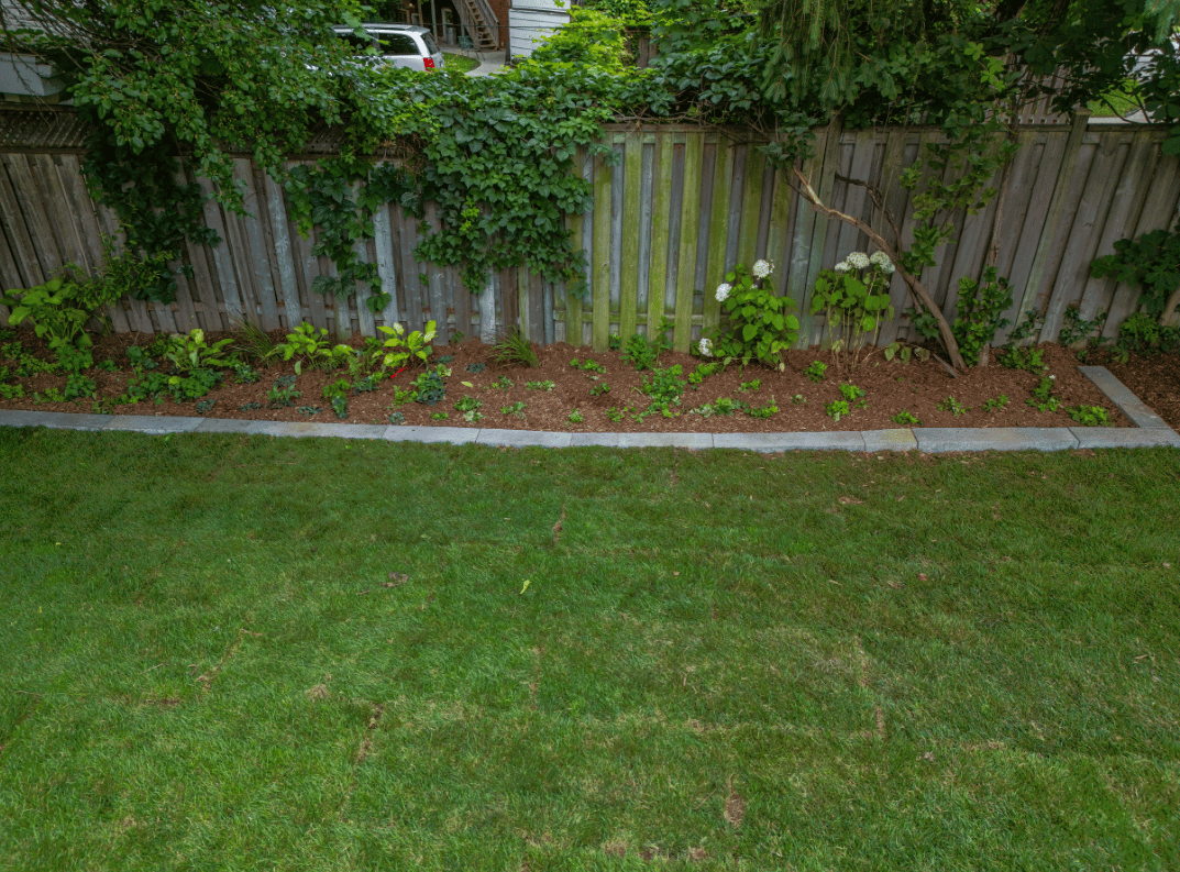 An aerial view of a lush green lawn next to a wooden fence.