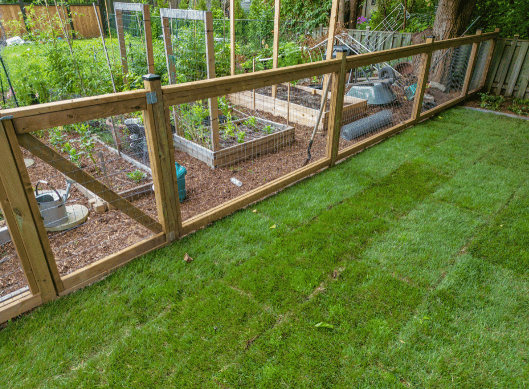 A wooden fence surrounds a lush green garden.