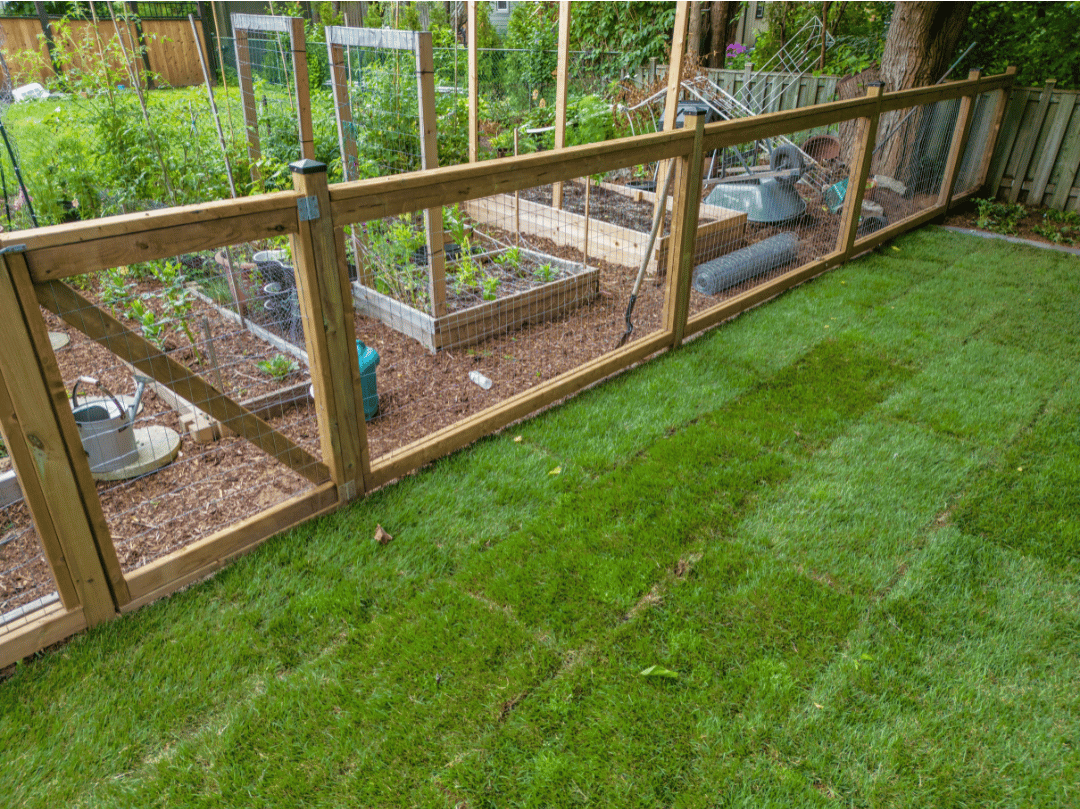 A wooden fence surrounds a greenhouse in a backyard.
