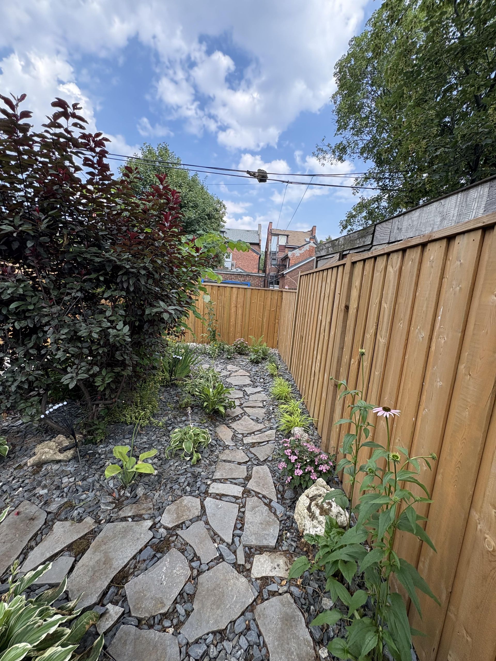 A stone path leading to a wooden fence in a garden.