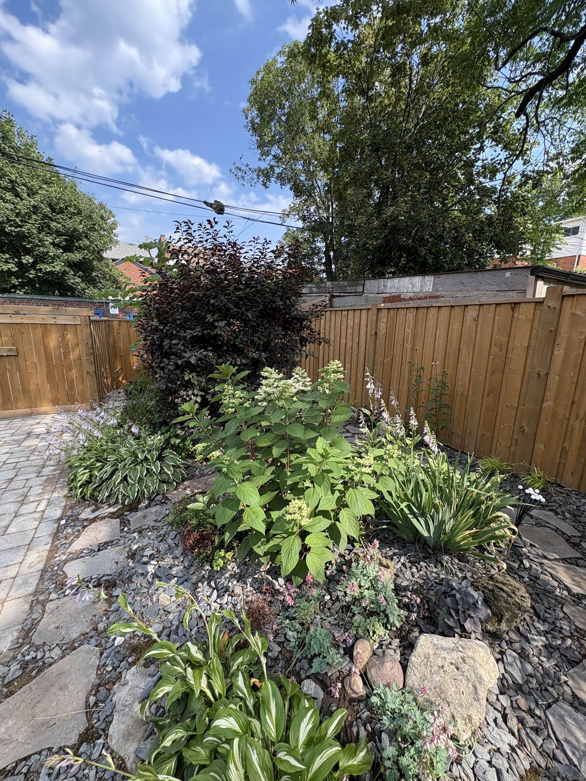 A garden with a wooden fence and lots of plants and rocks.