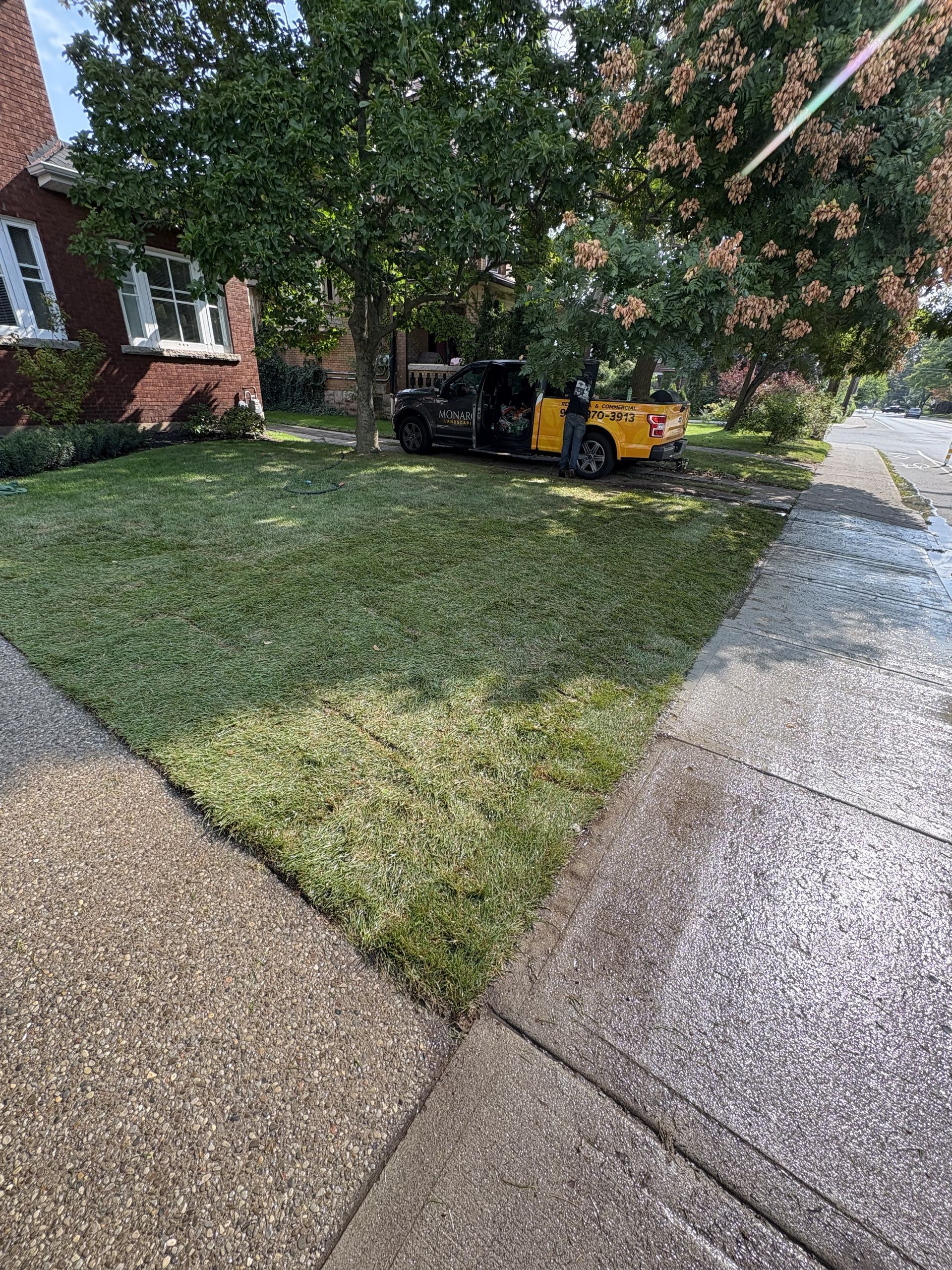sod installation near me