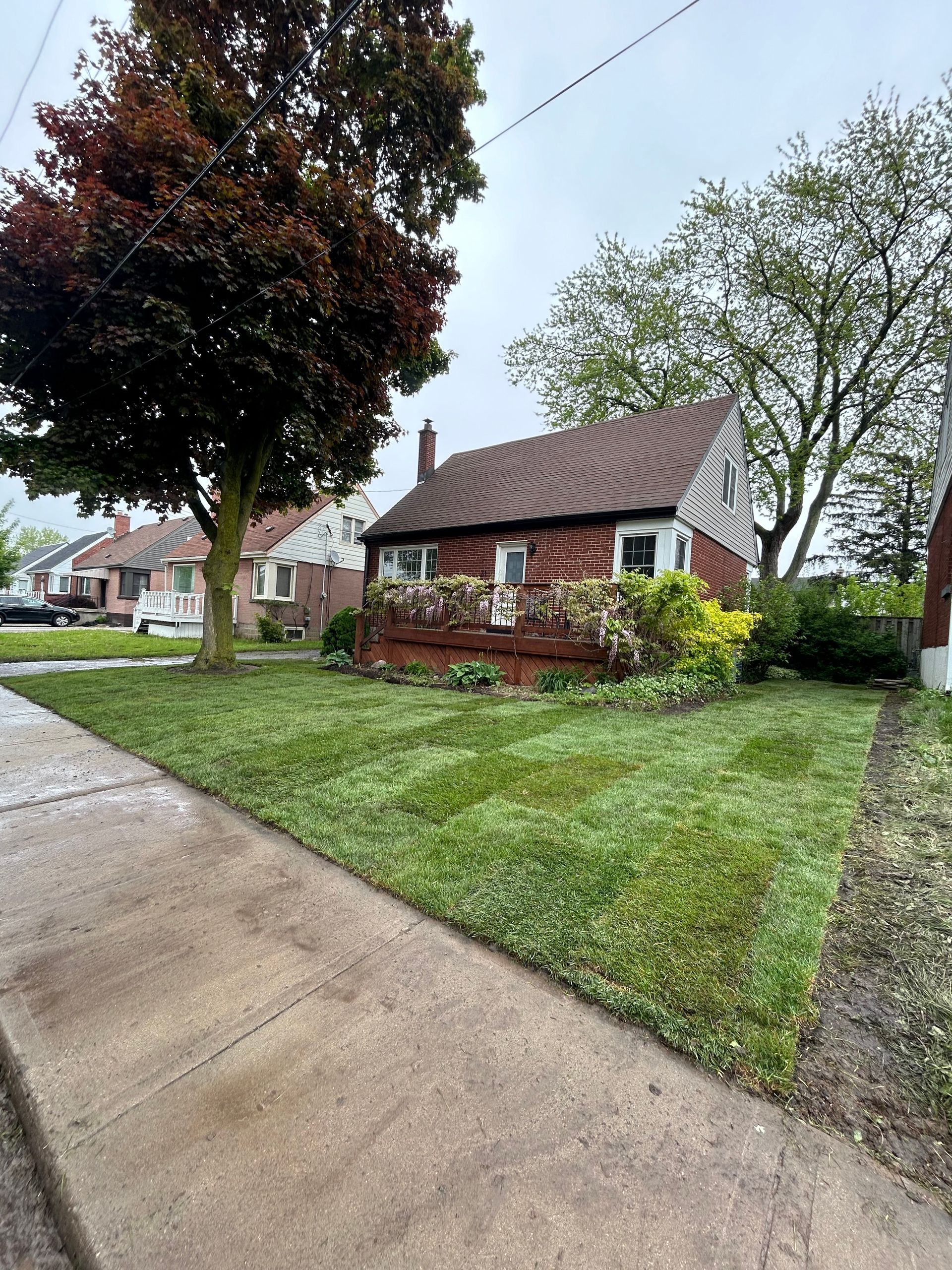 A house with a lush green lawn and a tree in front of it.
