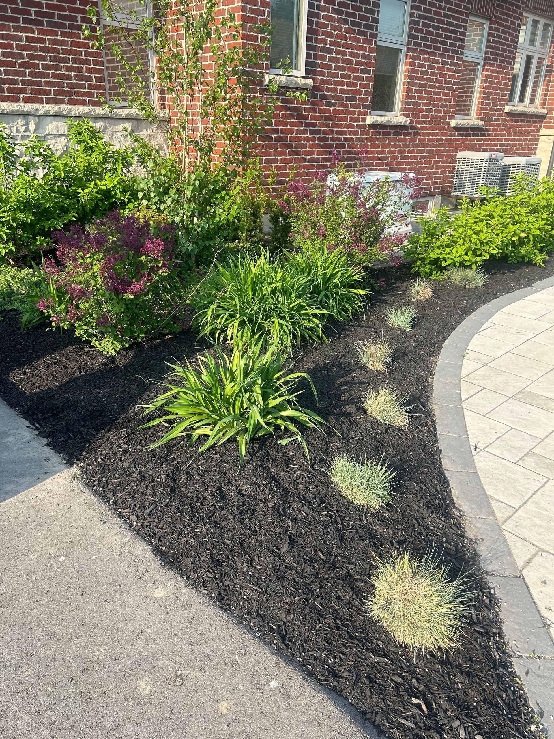 Hamilton Landscaping 