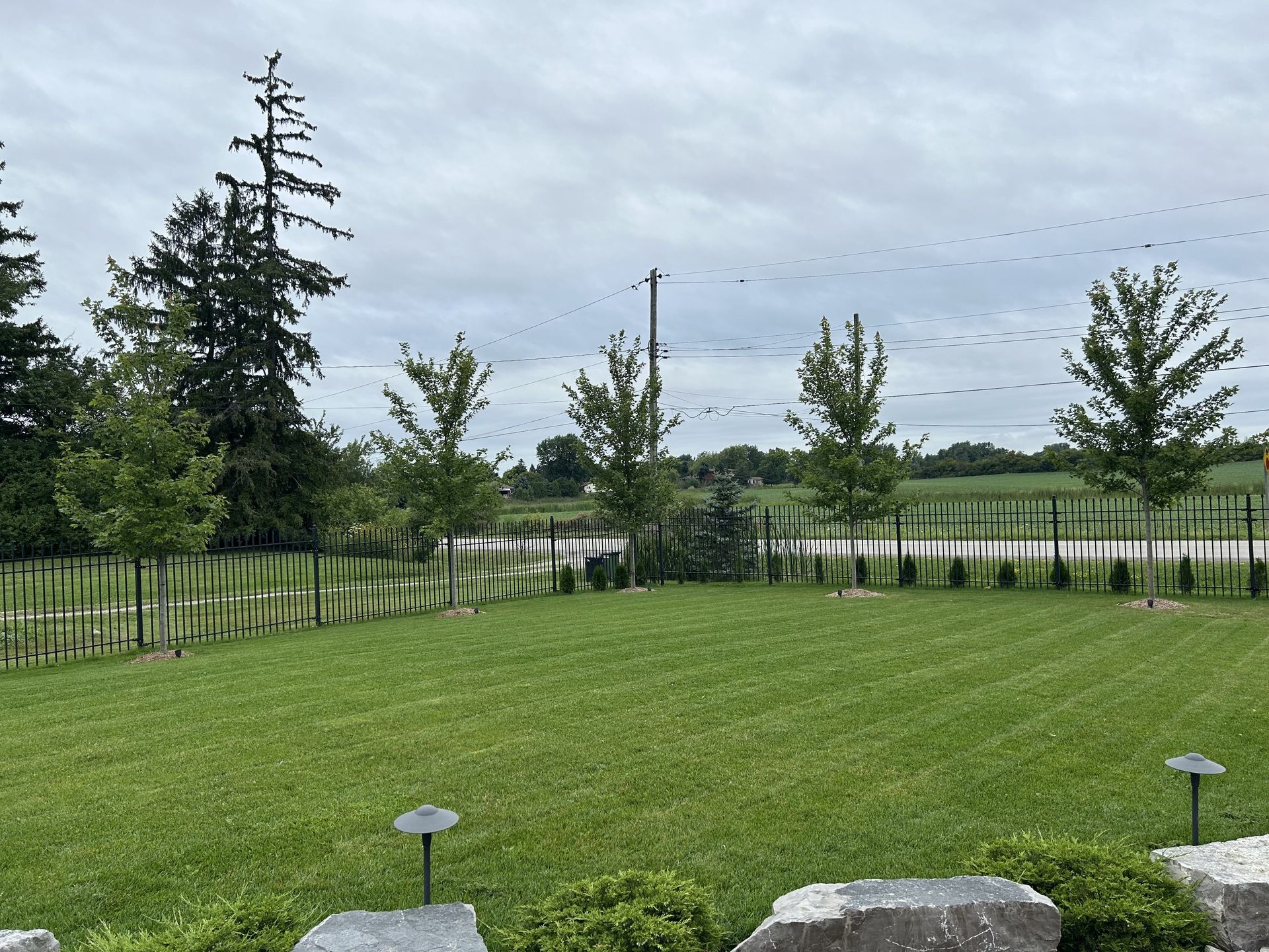 A lush green field with trees and rocks in the foreground