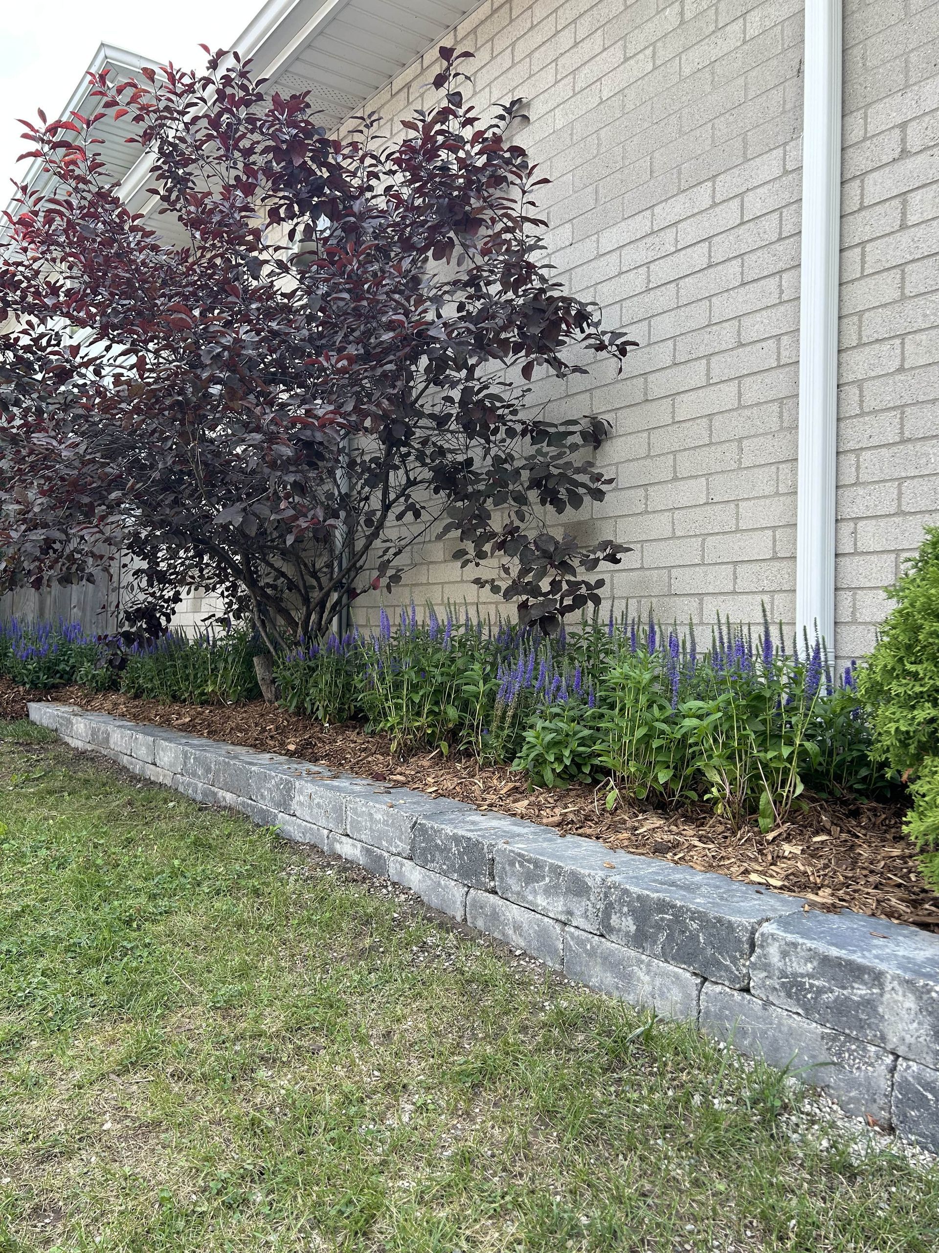 A brick wall with a shrub and flowers in front of it.