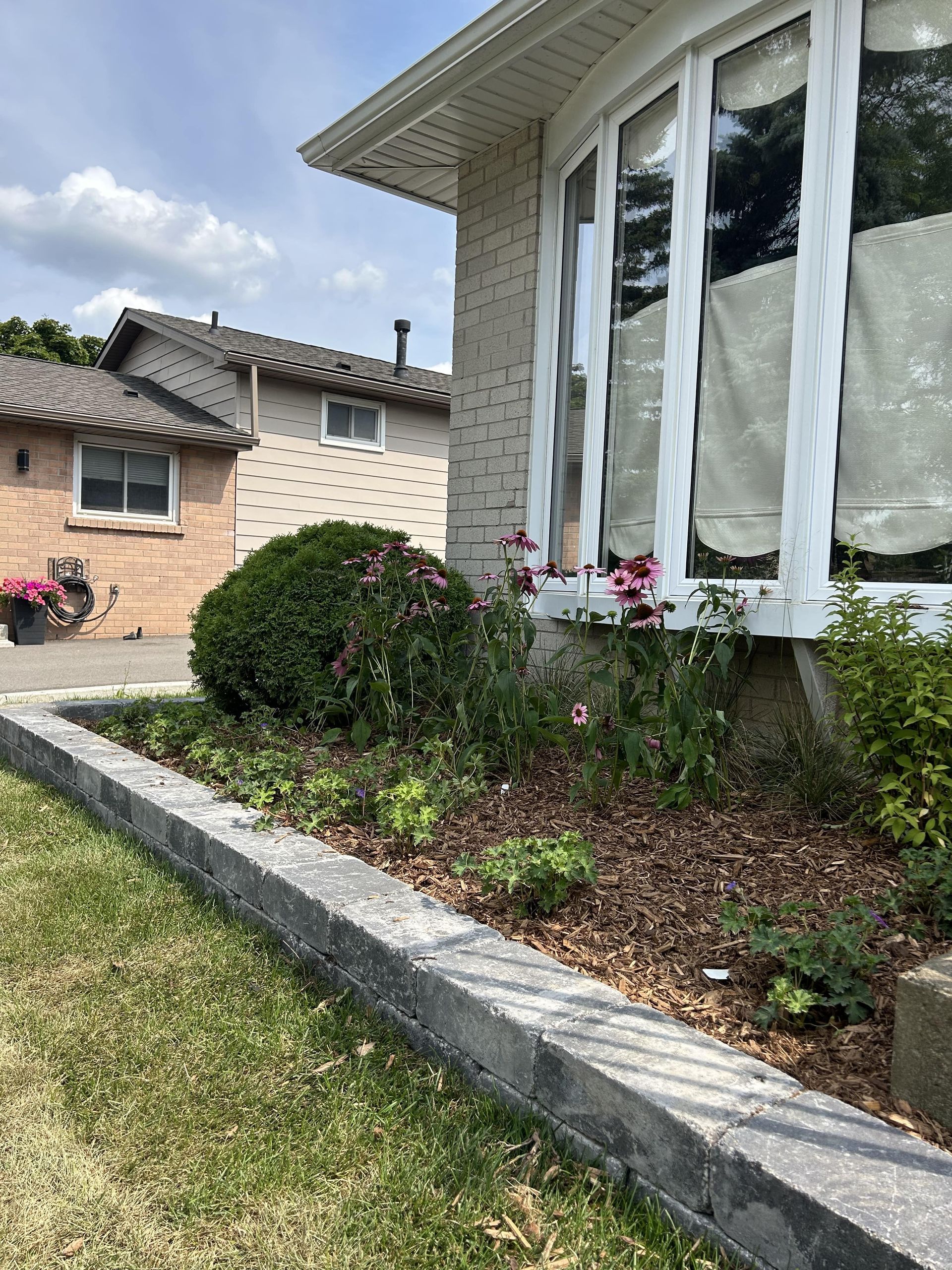 A house with a garden in front of it and a window.
