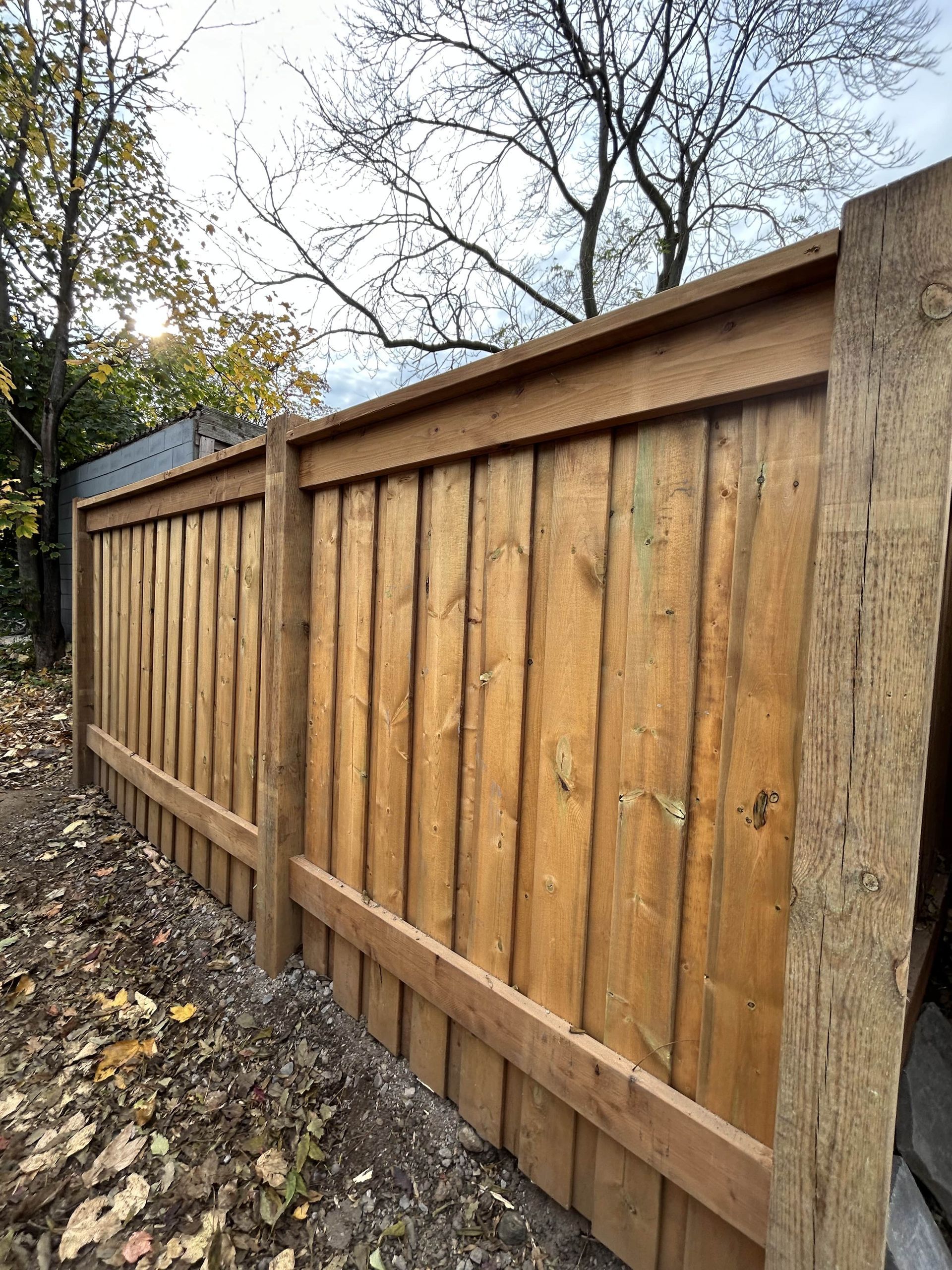 A wooden fence is surrounded by trees in a yard.