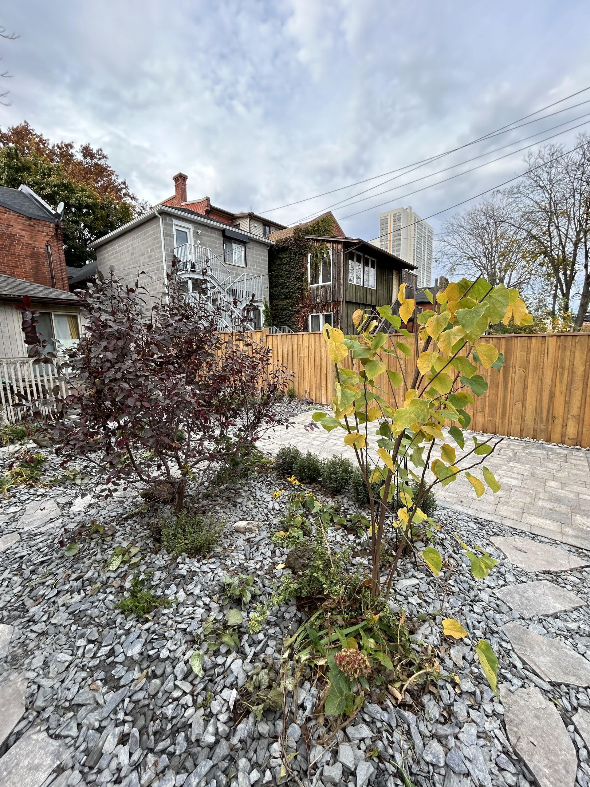 A garden with a wooden fence and a house in the background.