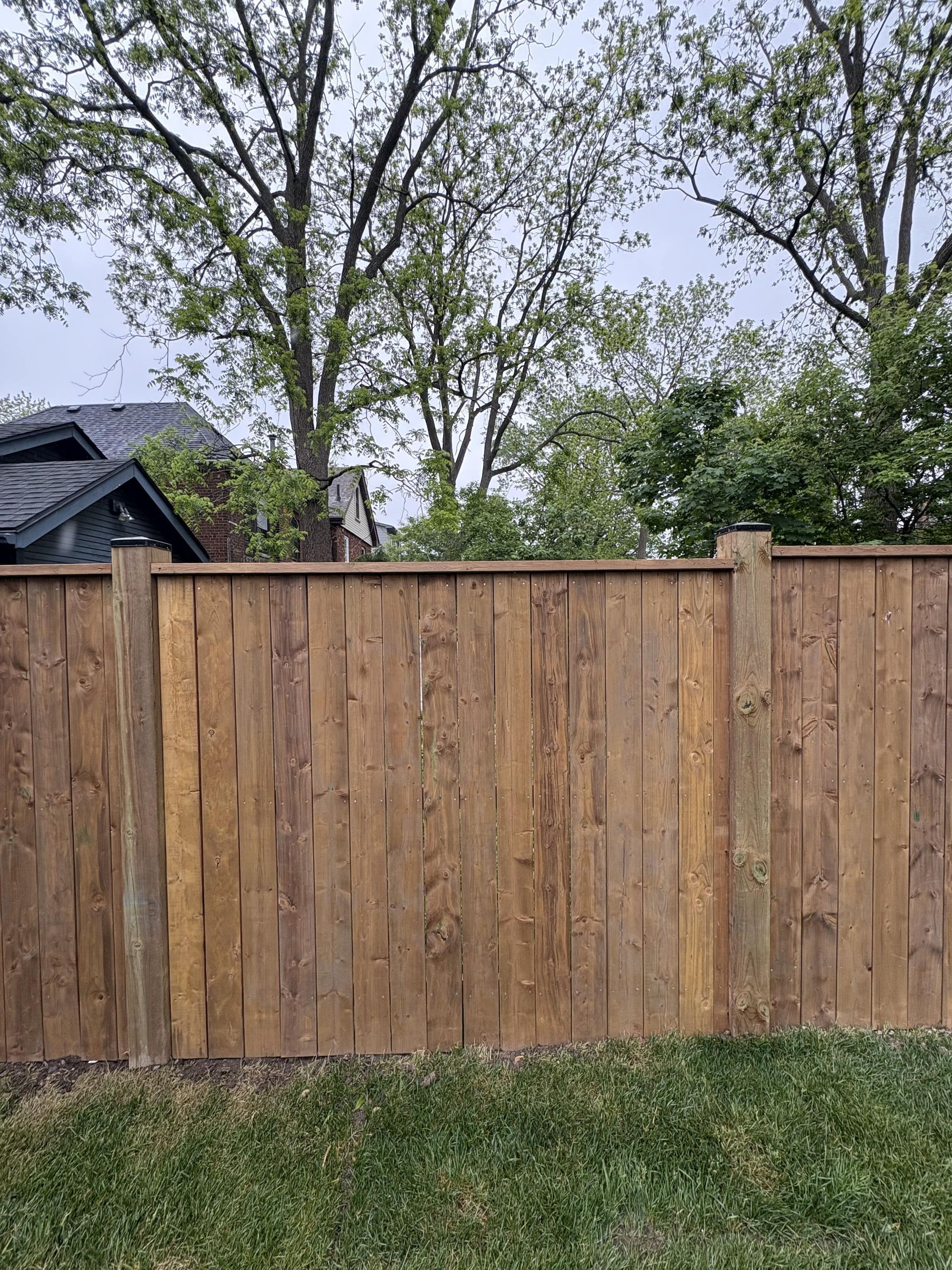 A wooden fence in a backyard with trees in the background.