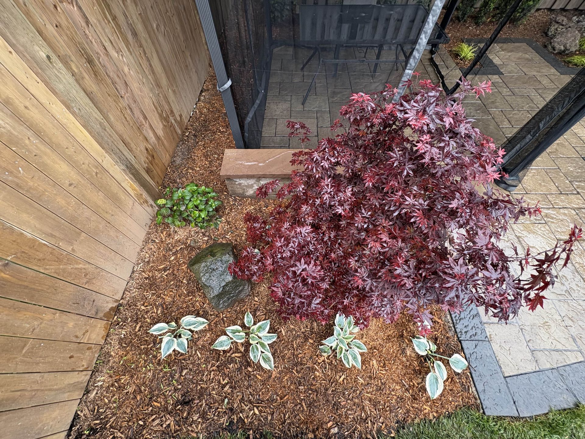 There is a tree in the middle of a garden next to a wooden fence.