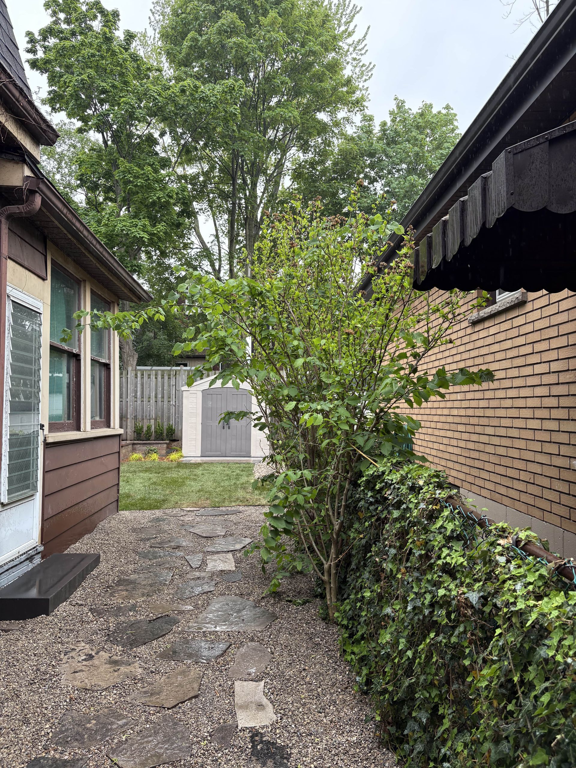 There is a path between two houses with trees in the background.