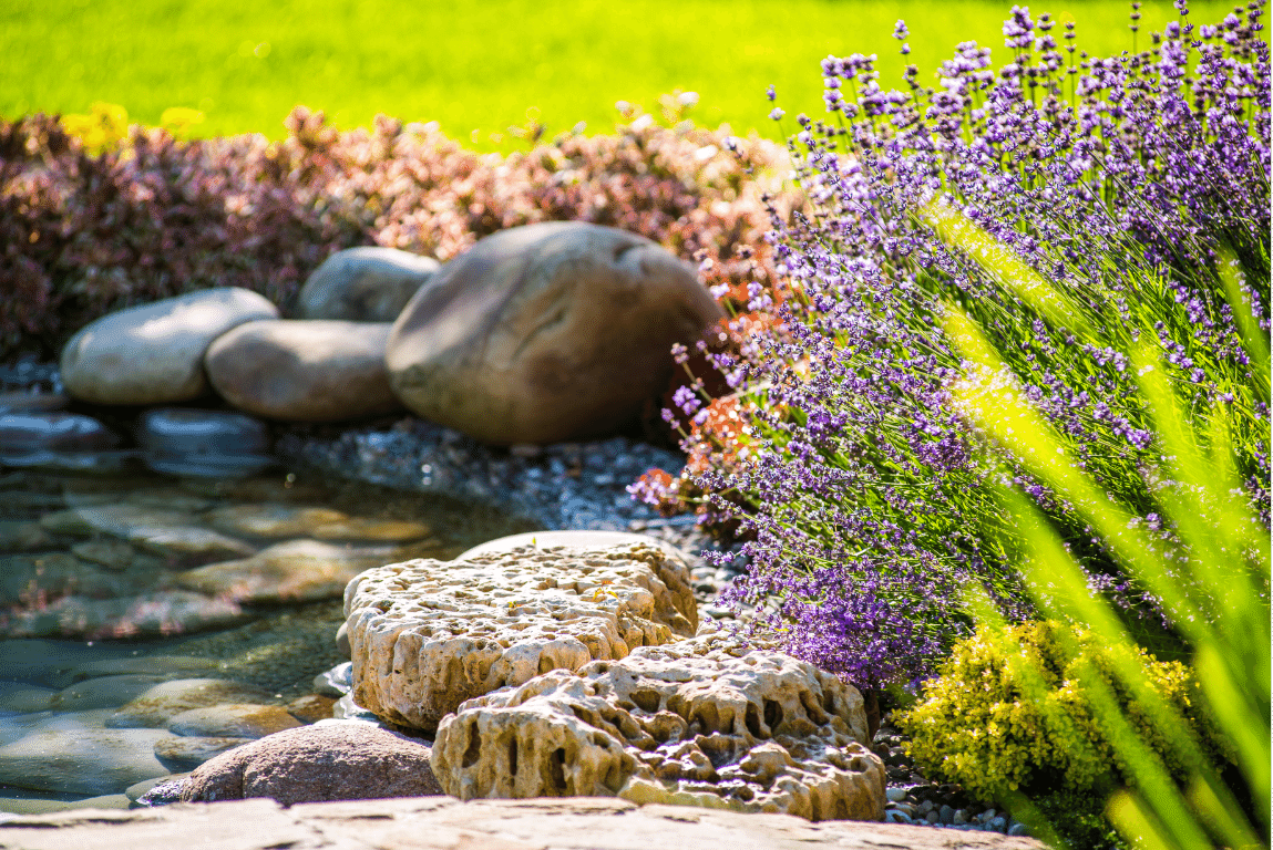 A garden with purple flowers and rocks next to a stream.