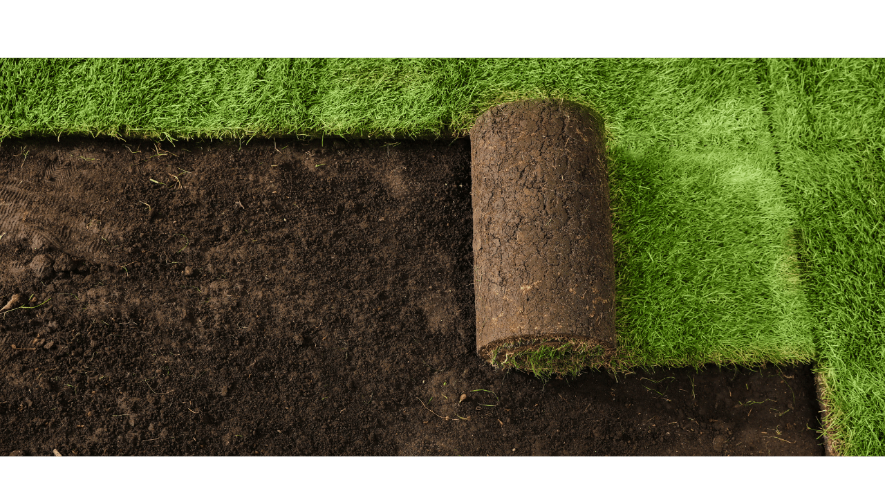 A roll of turf is sitting on top of a pile of dirt.