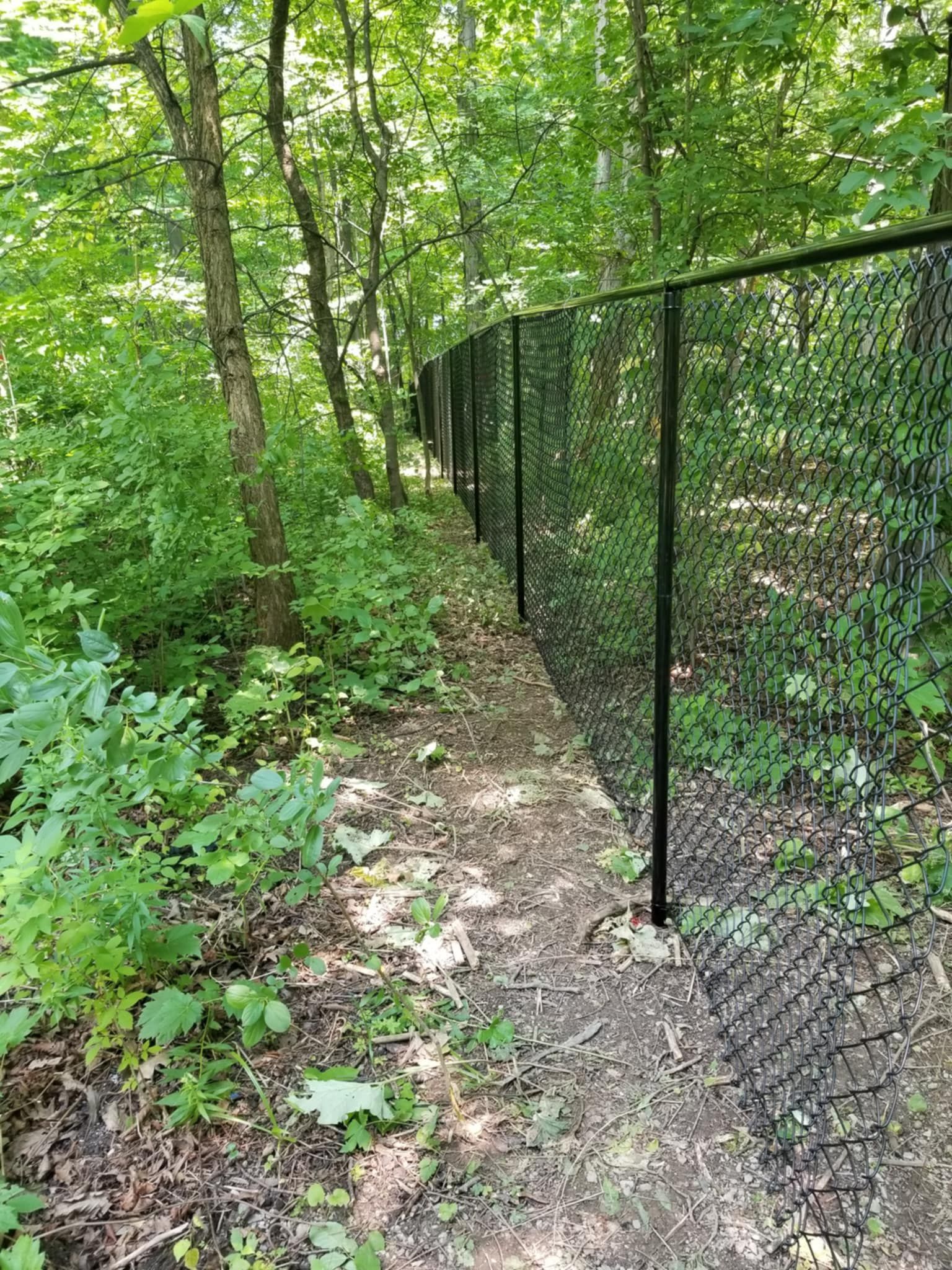A narrow dirt path beside a black chain-link fence winds through a green forest.