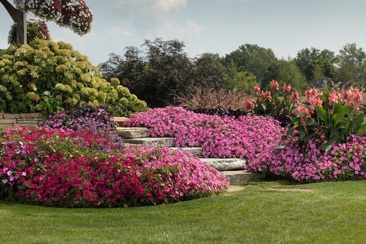 A garden filled with lots of pink and purple flowers and stairs.