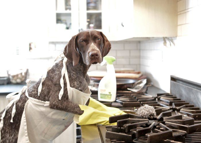 Spring Cleaning your Kitchen