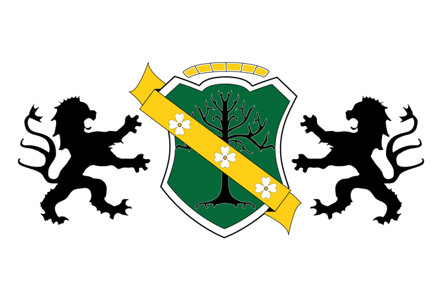 Chidsey Landscape & Design landscape contractor in Medina, Ohio