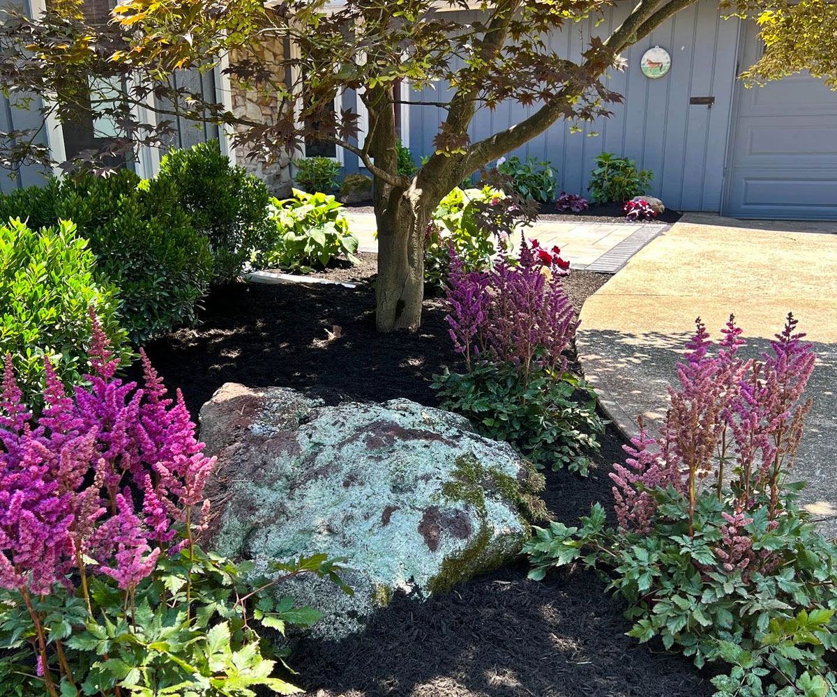 Wayne County home front entrance with lush garden planting beds and softscape landscape design that soften paver walkway and concrete driveway by Chidsey Landscape & Design.