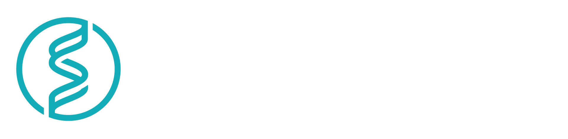 Streamline SkyTab Logo