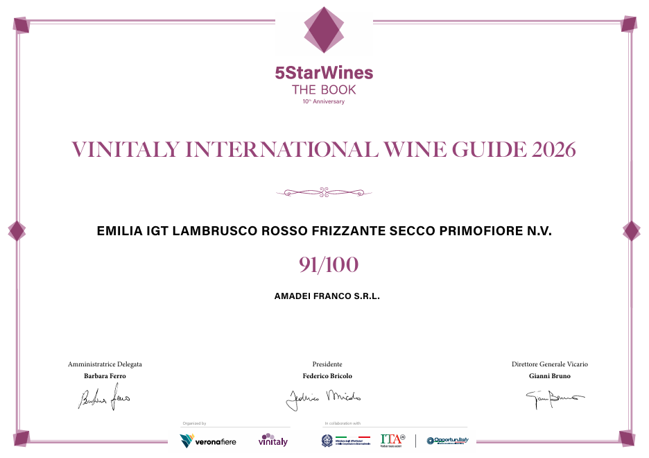 Certificato incorniciato di 5StarWines per la Guida Internazionale dei Vini Vintaly 2026, con punteggio di 91/100.