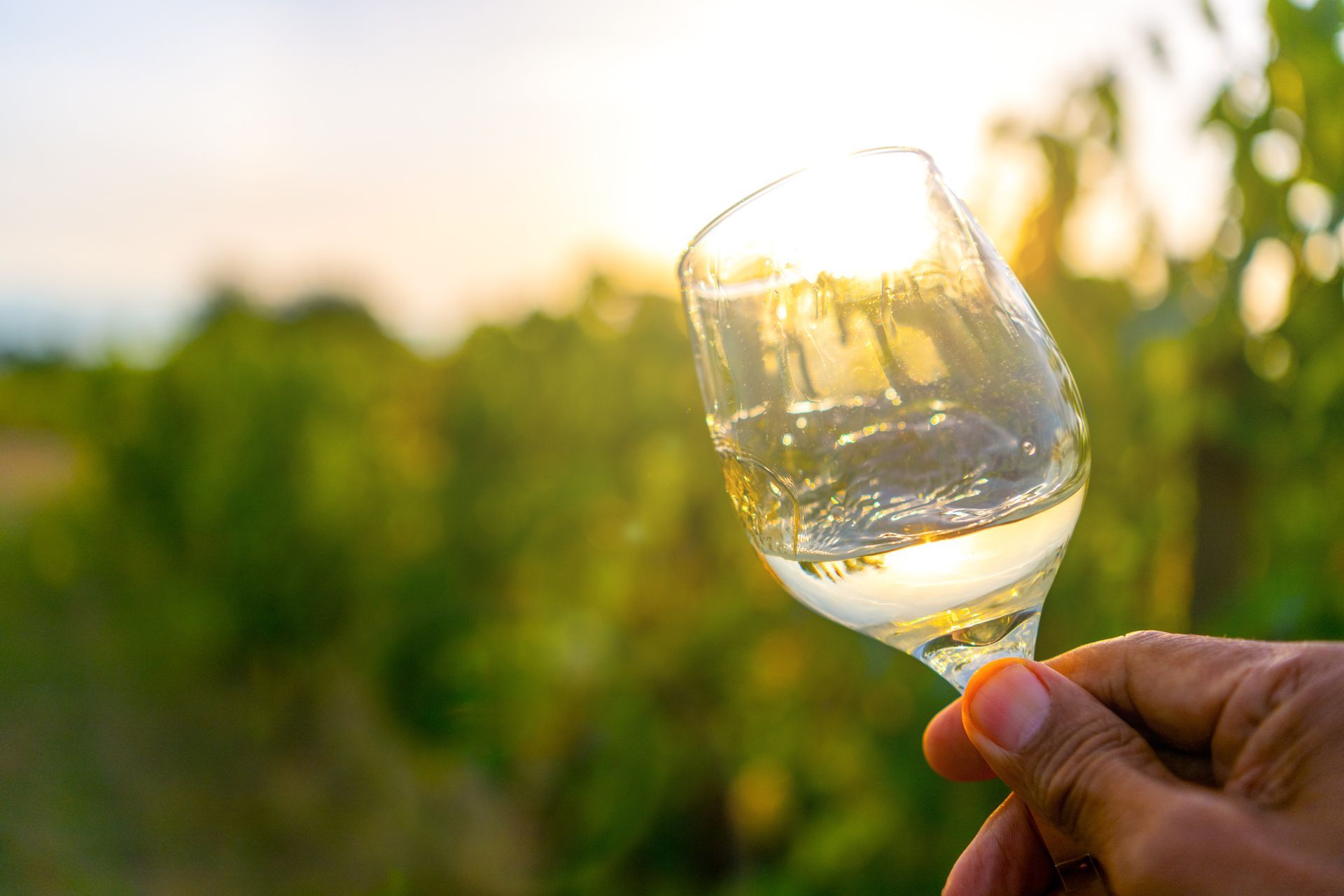 bicchiere di vino bianco