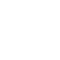 AMADEI VINI LOGO