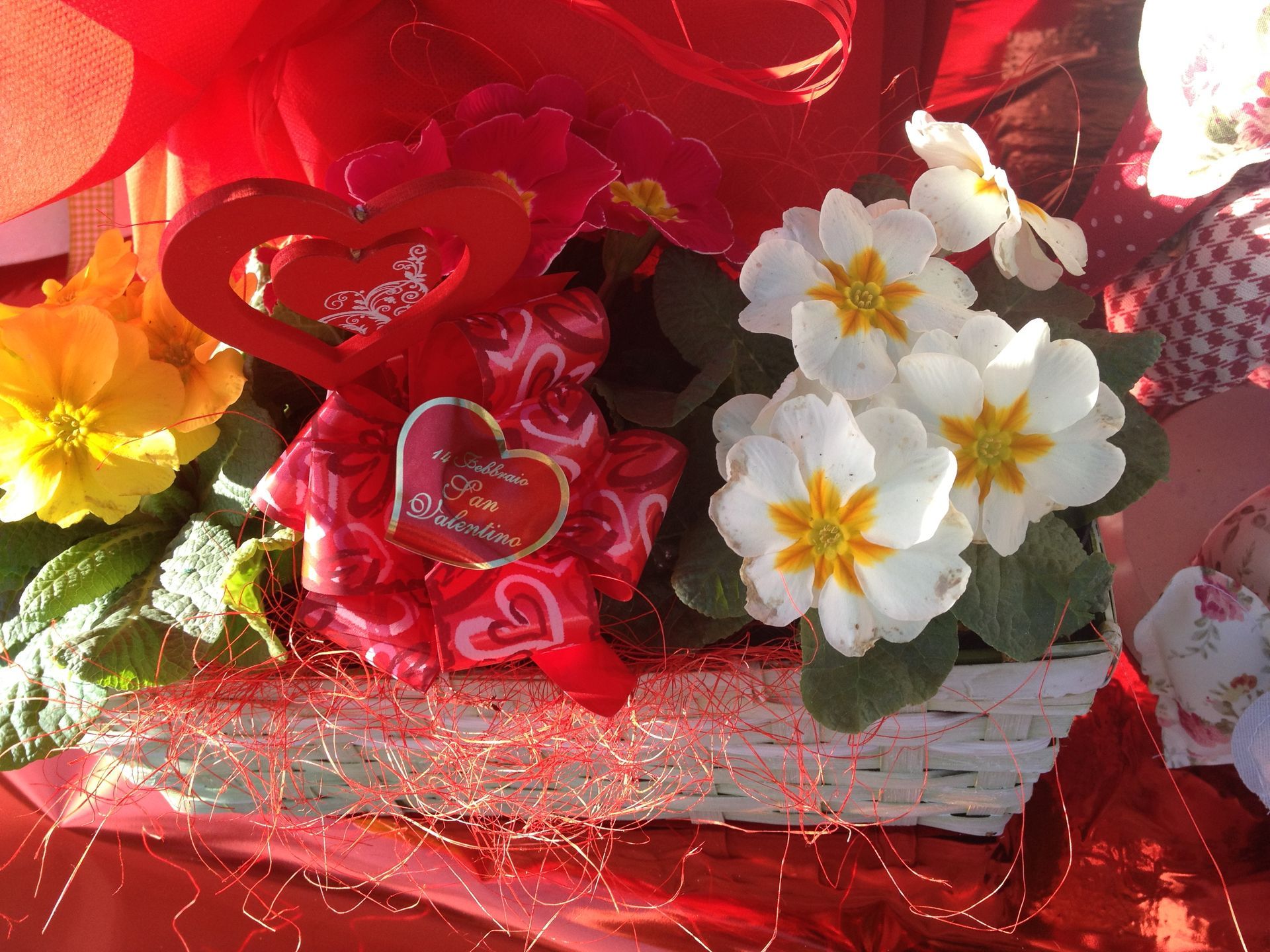 angolo fiorito castelfranco veneto