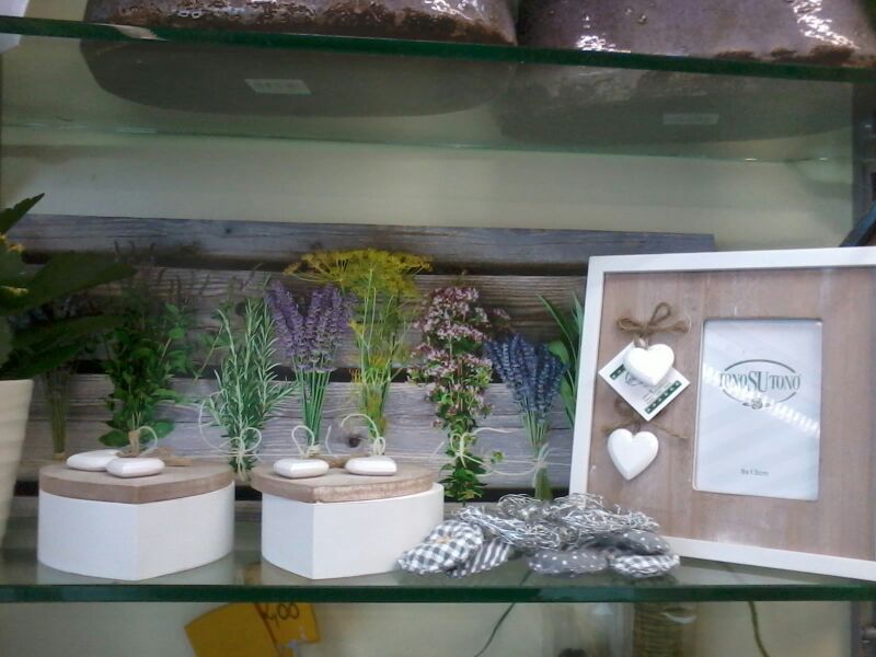 angolo fiorito castelfranco veneto