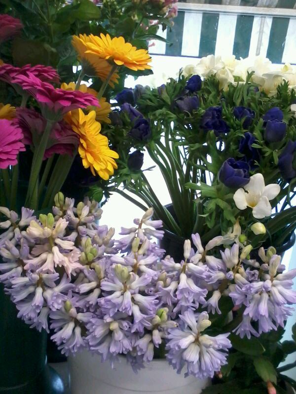 angolo fiorito castelfranco veneto