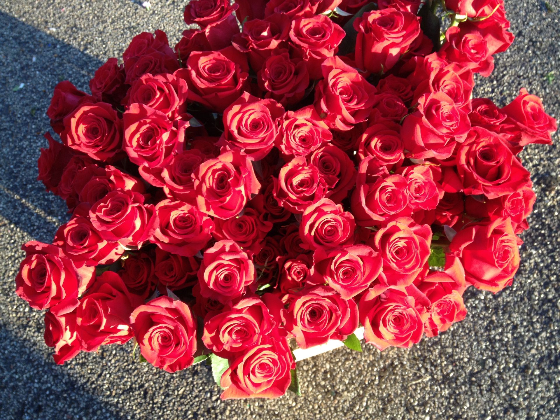 angolo fiorito castelfranco veneto