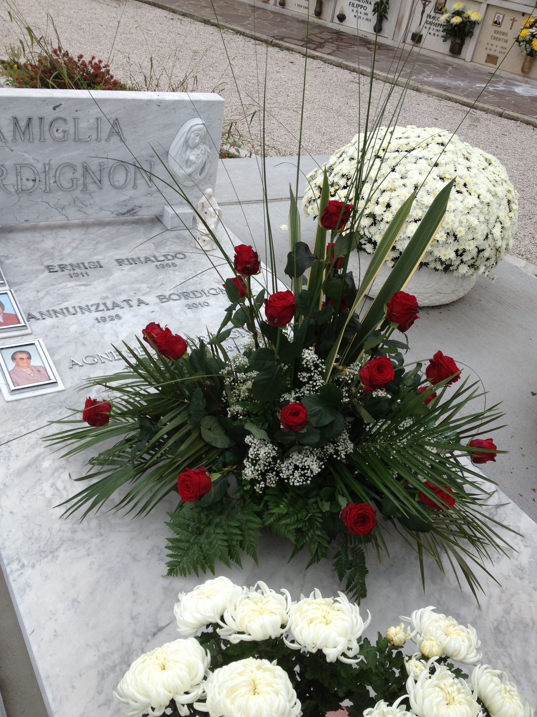 piante fiori per cimitero