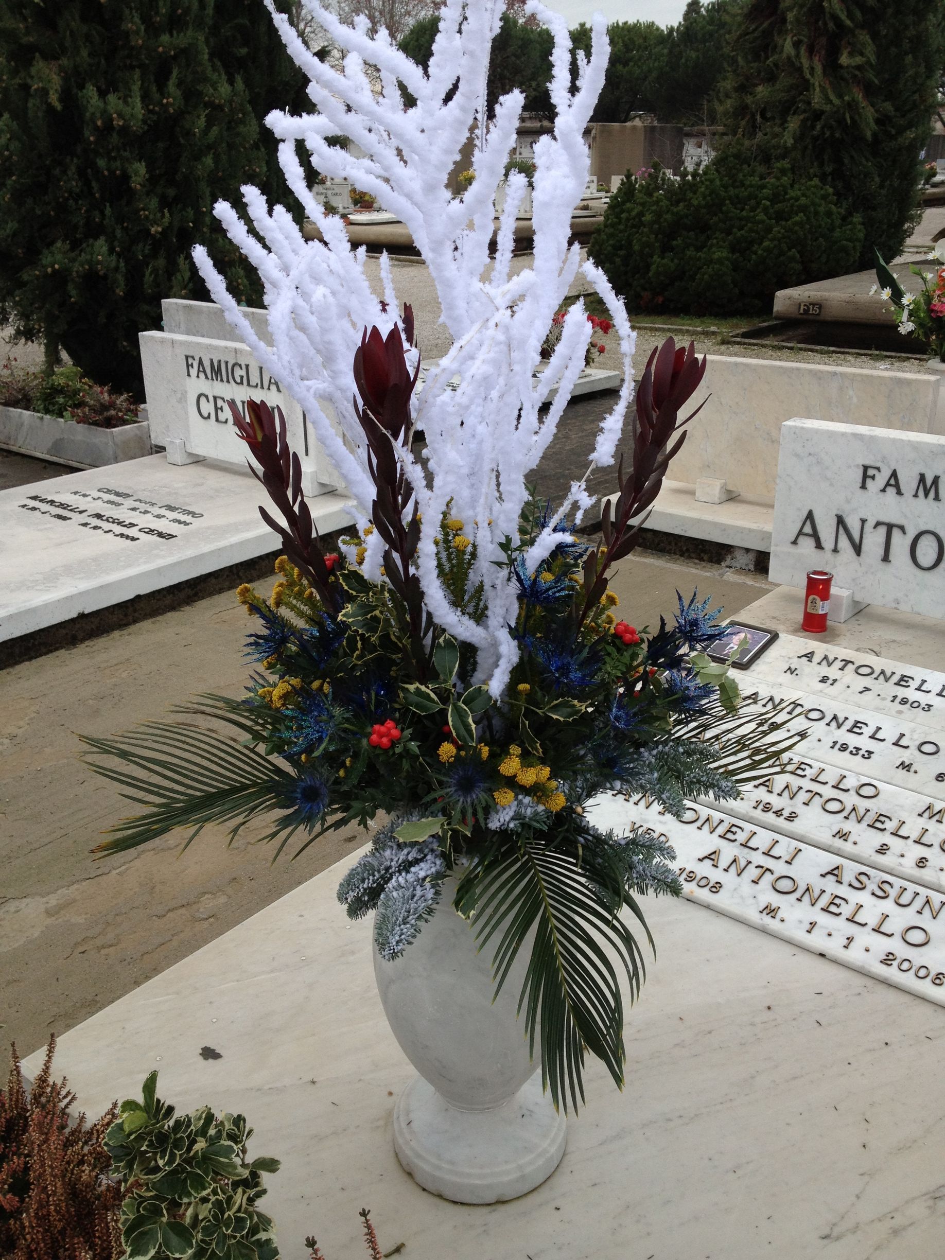 piante fiori per cimitero