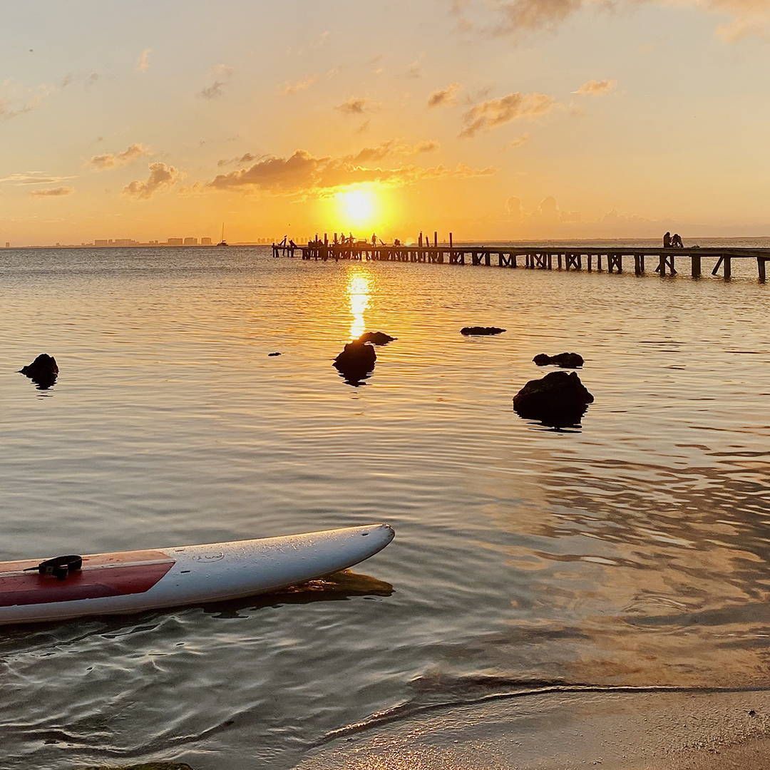 A surfboard is sitting in the water near a pier at sunset.
