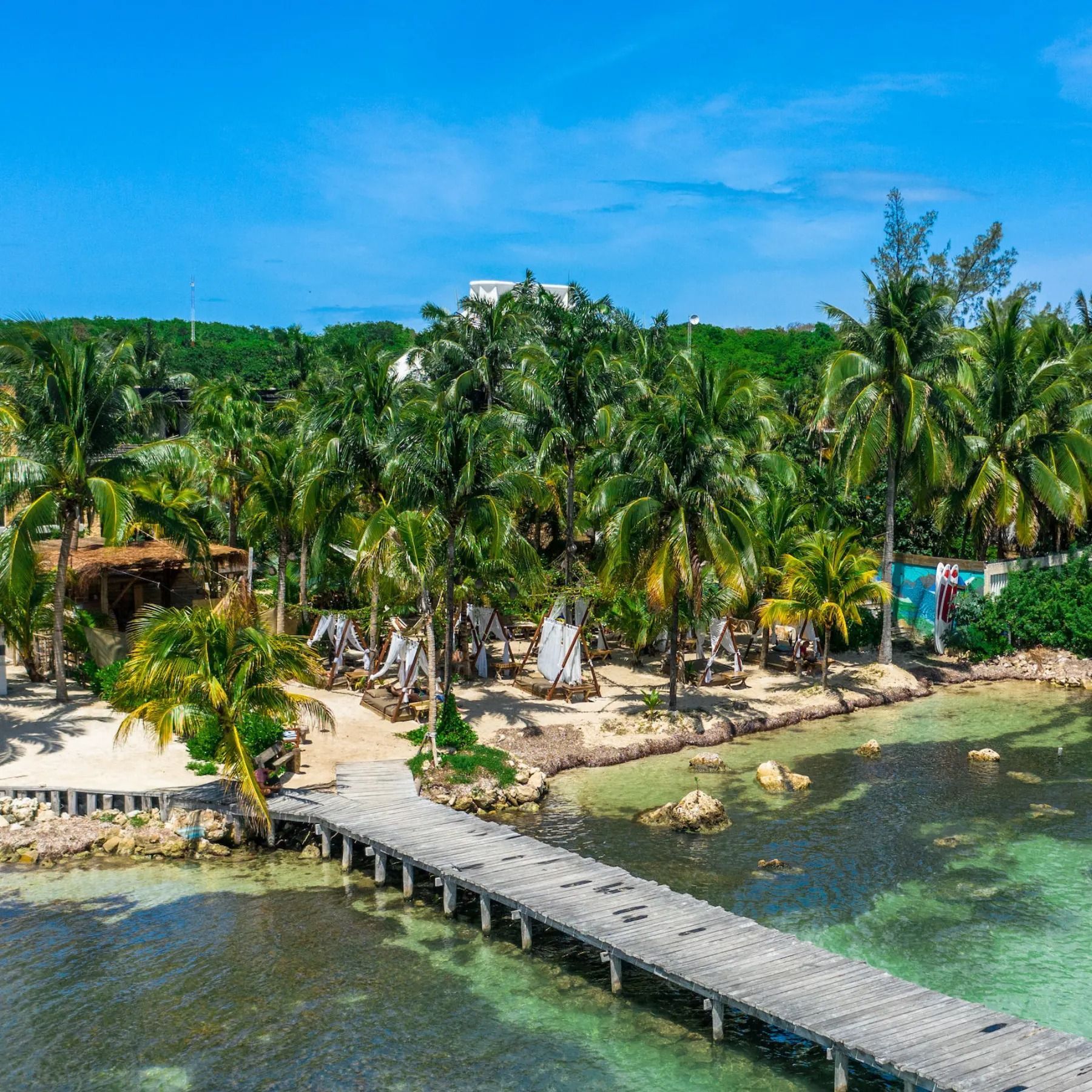 An aerial view of a wooden dock leading to a tropical island surrounded by palm trees.