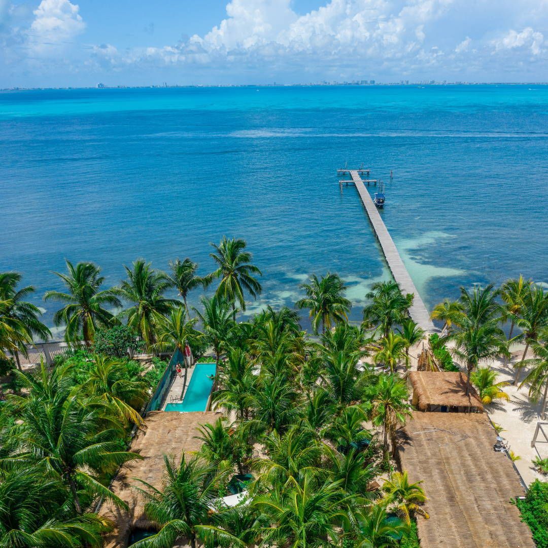 An aerial view of a tropical beach with palm trees and a dock leading to the ocean.