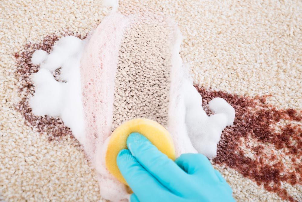 A Person Is Cleaning A Carpet With A Sponge And Foam — Encore Carpet Professionals in Robina, QLD