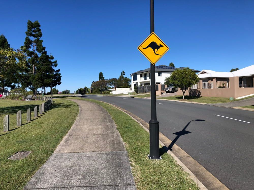 A Yellow Sign With A Kangaroo On It Is On The Side Of The Road — Encore Carpet Professionals in Helensvale, QLD