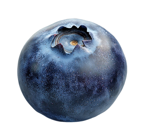 Naturally Well health spa and oligoscan wellness